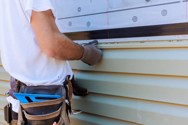 Affordable Siding solutions in Alberta, VA